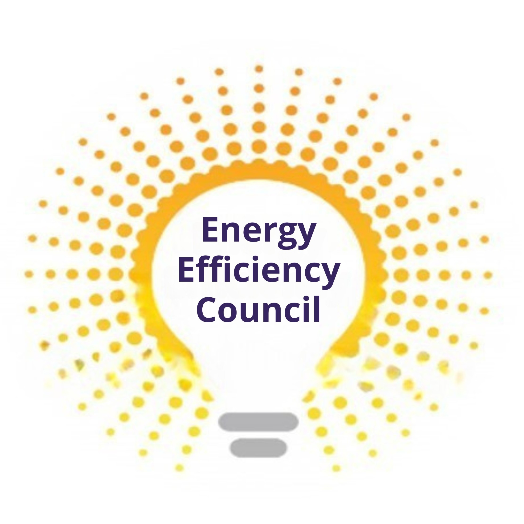 Energy Efficiency
